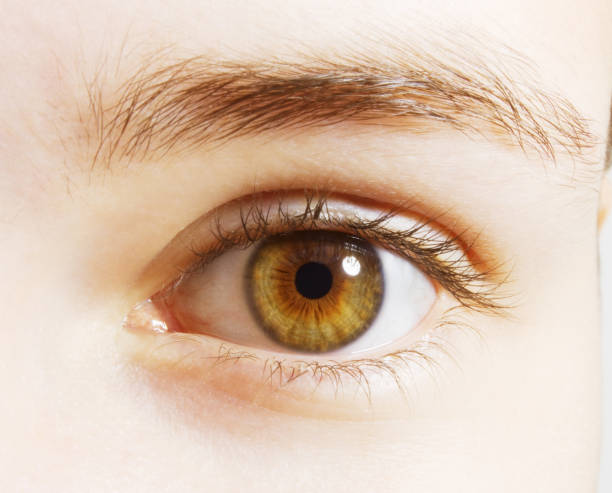 istock Extreme close up of hazel eyes 483596349