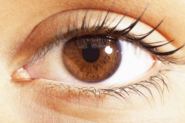 Close-up of female eye with beautiful green shades in macro shot. Detailed picture of mans vision, good sight. Ophthalmology and visual sense concept