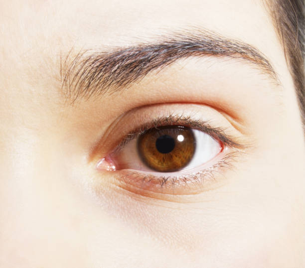 istock Extreme close up of brown eye 483596357