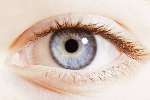 istock Extreme close up of blue eye 483596359
