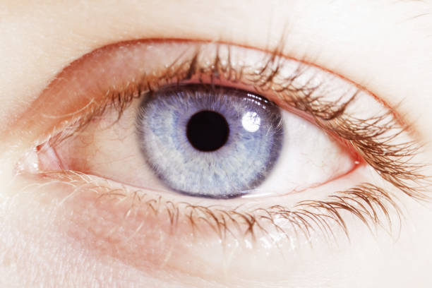 istock Extreme close up of blue eye 483596383
