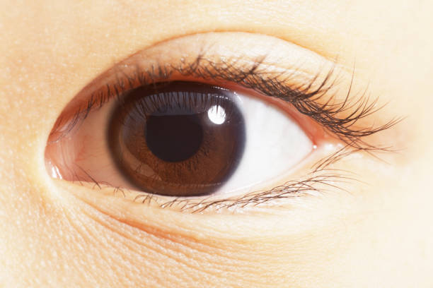 istock Extreme close up of brown eye 483596389