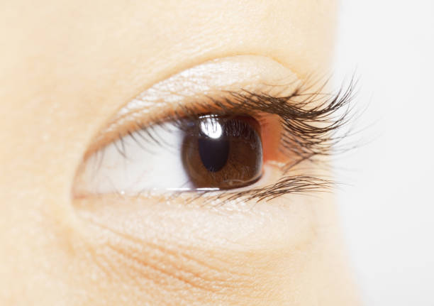 istock Extreme close up of brown eye 483596415