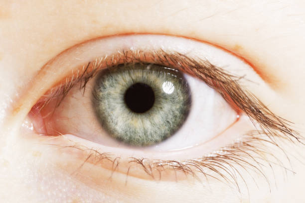 istock Extreme close up of blue eye 483596419