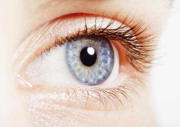 istock Extreme close up of blue eye 483596433