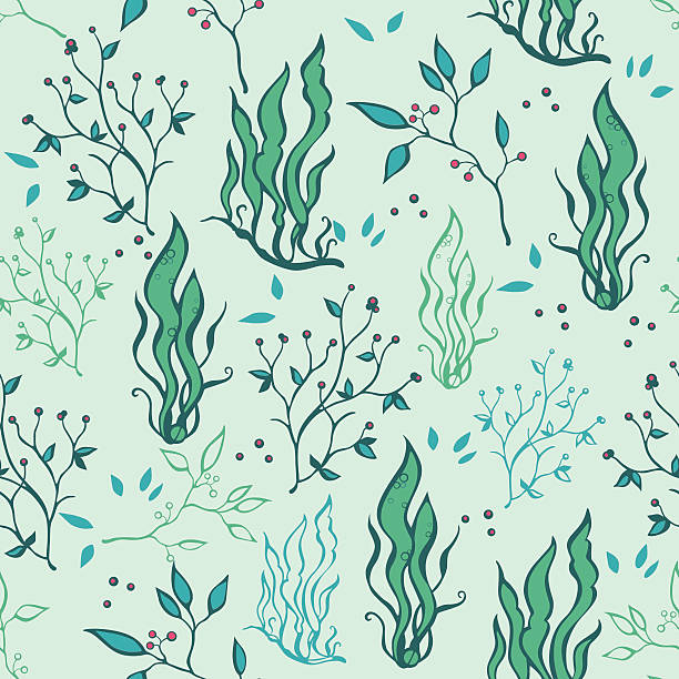 ilustrações, clipart, desenhos animados e ícones de vetor desenho à mão de algas e plantas ocean life padrão sem emendas - seaweed seamless striped backgrounds