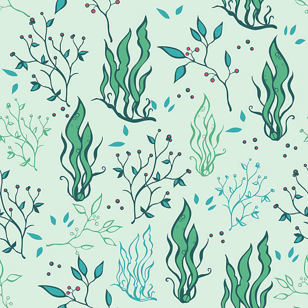 вектор руки drawn водорослей растений бесшовный узор на жизнь - seaweed seamless striped backgrounds stock illustrations