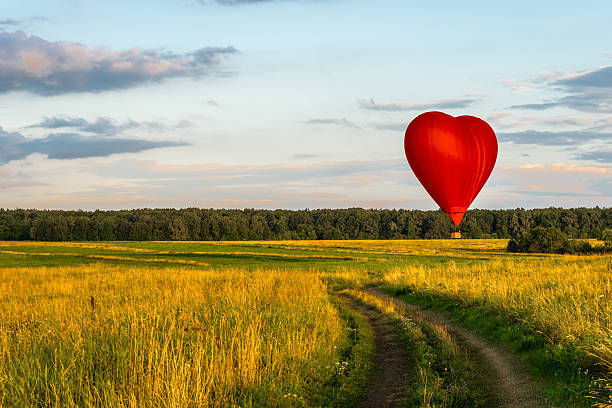 istock Hot air balloon in the evening sky 483603398