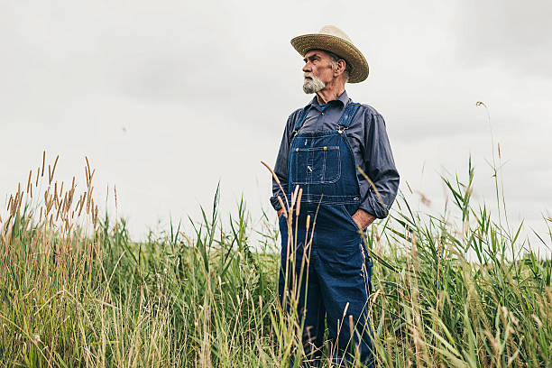 istock Senior Male Farmer with Hat Standing at the Farm 483606982