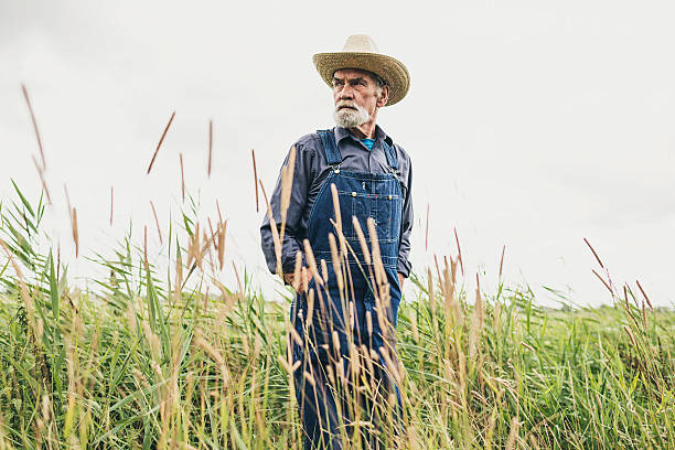 istock Senior Male Farmer with Hat Standing at the Farm 483606984
