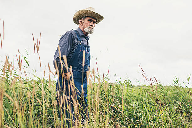 istock Senior Male Farmer with Hat Standing at the Farm 483606986