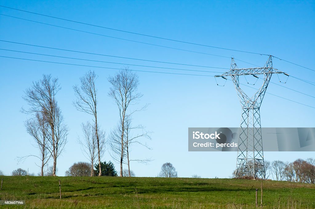 Electricity pylon and bare trees on green meadow. Electricity pylon and bare trees in a row on green meadow, clear blue sky background in a sunny winter day. 2015 Stock Photo