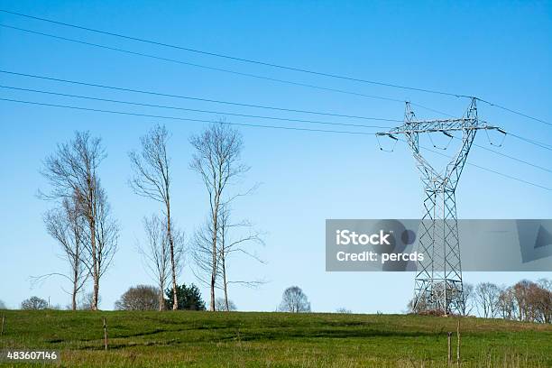 Electricity Pylon And Bare Trees On Green Meadow Stock Photo - Download Image Now - 2015, Bare Tree, Blue