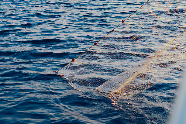 istock fisher boat in a sea 483607522