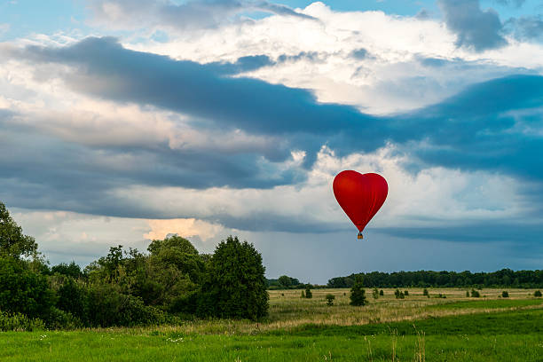 istock Hot air balloon in the evening sky 483608282
