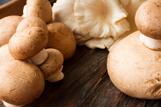 istock meadow mushroom mushrooms on wooden background 483608500