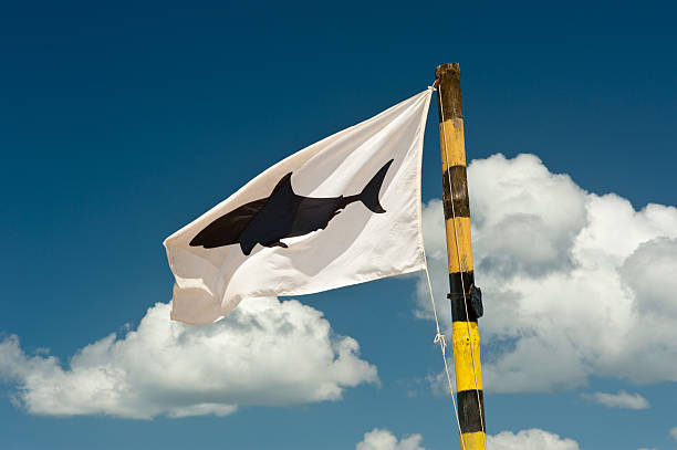 swimming is prohibited at a red flag at the seat of a lifeguard along the coast of southern Italy; Bari, Italy