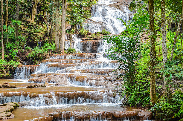 열대 워터풀 forest - black forest waterfall triberg landscape 뉴스 사진 이미지