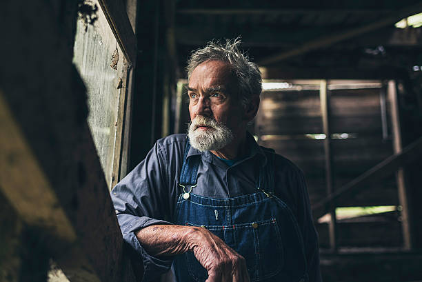 anziani uomo che guarda fuori di una finestra in legno rustica - barn wood window farm foto e immagini stock