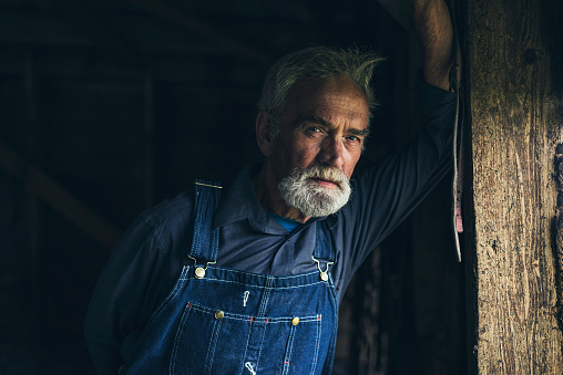 Elderly man in denim dungarees standing staring through a window in an old rustic wooden house or barn with a thoughtful expression