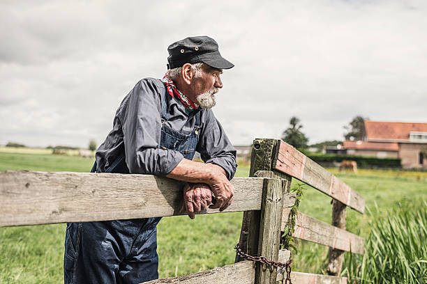 Elderly farmer leaning on a paddock fence