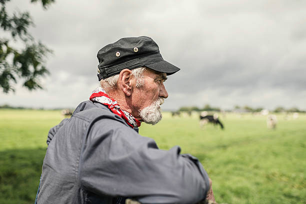 istock Elderly farmer checking his cows in a pasture 483611880