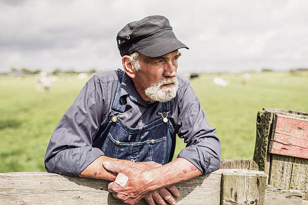 istock Elderly farmer surveying his farmland 483611890