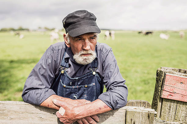 istock Elderly farmer surveying his farmland 483611892