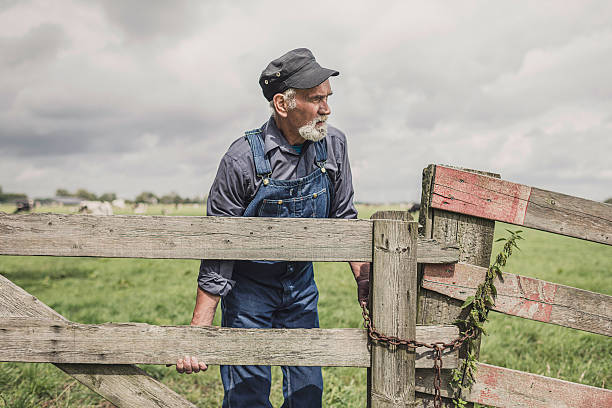 istock Elderly farmer surveying his farmland 483611894