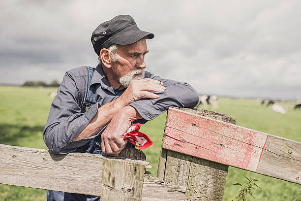 istock Senior farmer standing smoking in a pasture 483611898