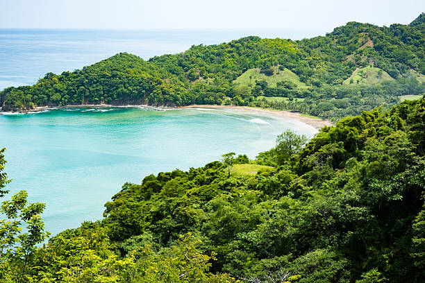 istock XXXL: Beautiful hidden beach surrounded by green hills and forest 483612128