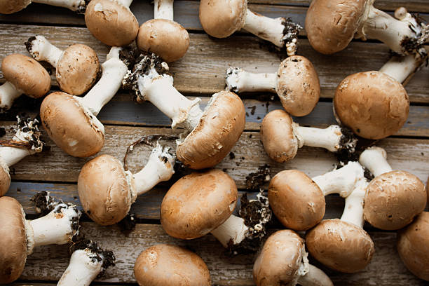 Portobello mushrooms on rustic wooden desk. Fresh portobello mushrooms on rustic wooden desk. crimini mushroom stock pictures, royalty-free photos & images