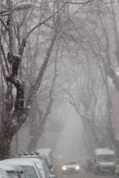 istock Heavy snow on a street with trees 483612400