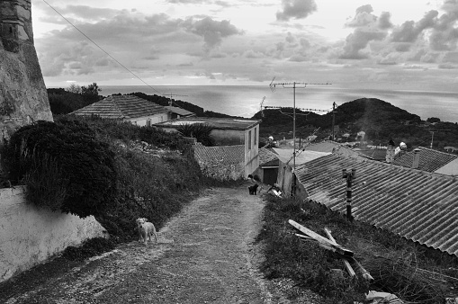 View of the ionian sea from mountain village Keri in Zakynthos, Greece. Puppies on narrow street and house rooftops. Black and white.