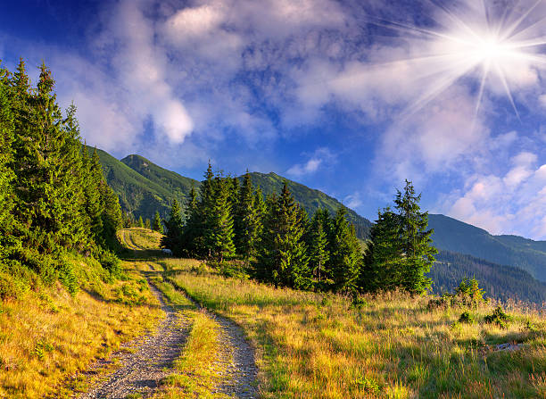 istock Colorful summer landscape in the mountains 483614065