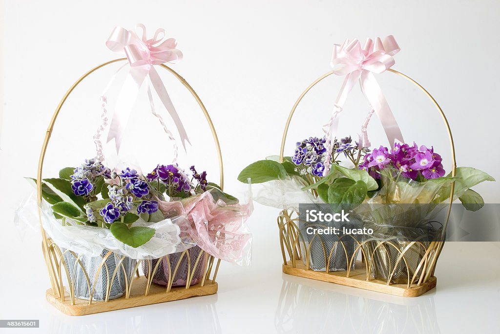 Africana Violets-cesto presentes - Royalty-free Adulto Foto de stock