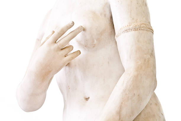 venus - the human body body women naked стоковые фото и изображения