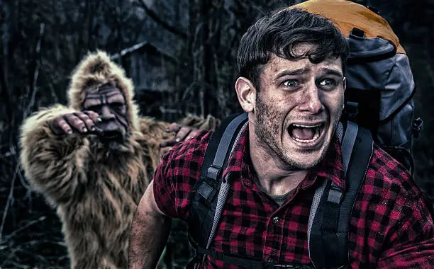 Photo of Bigfoot chasing a camper thru the woods