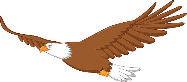 Eagle Cartoon Flying Stock Illustration - Download Image Now - Drawing -  Activity, Drawing - Art Product, Eagle - Bird - iStock