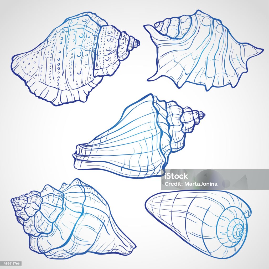 Hand drawn seashells Hand drawn seashells, ink style vector illustration 2015 stock vector