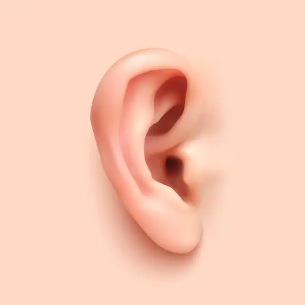 Vector illustration of Background with realistic ear