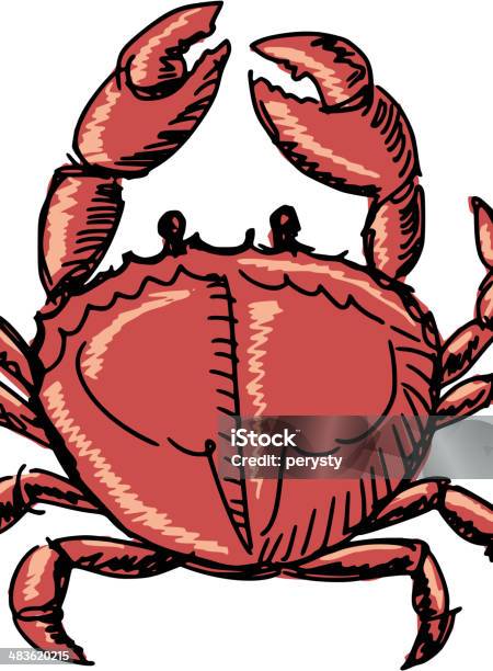 Crab — стоковая векторная графика и другие изображения на тему Банкет - Банкет, Белый фон, Варёный