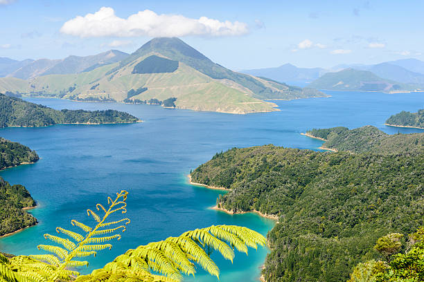 istock Marlborough Sounds, New Zealand 483620931