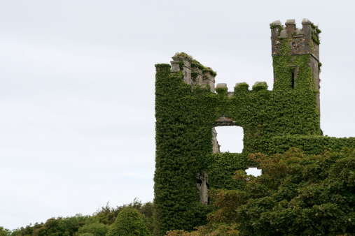 The Menlo Castle was built in 1569 and is located along the river Corrib (Galway, Irelend). Main home of the Blake family, it tragically burned down in 1910.