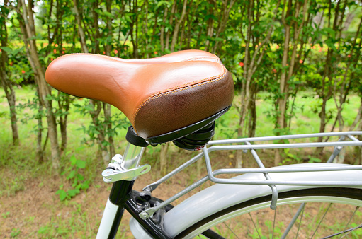 Brown bicycle saddle beside the tree in the park