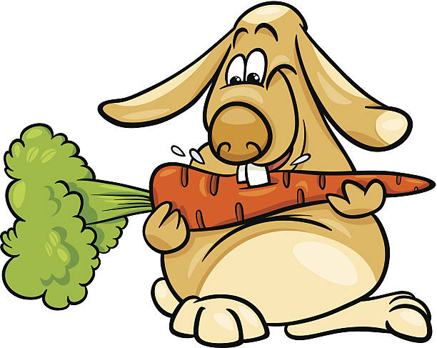 715 Rabbit Eating Illustrations & Clip Art - iStock | Rabbit eating carrot, Rabbit  eating lettuce, Pet rabbit eating