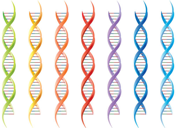 ilustrações, clipart, desenhos animados e ícones de dna - white background yellow close up front view