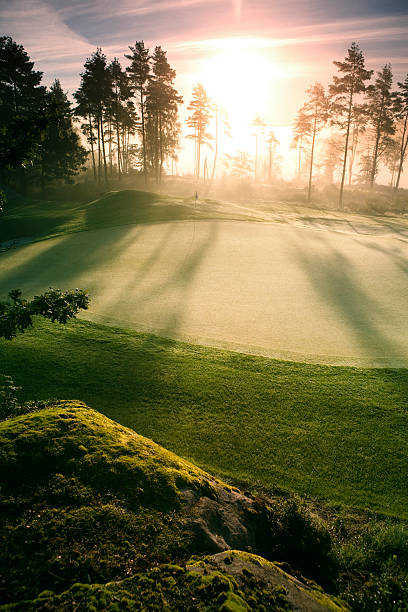 Putting Green in morning light stock photo