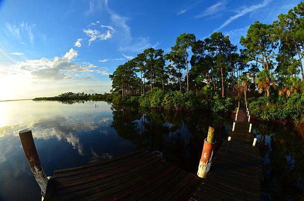 Fish-eye view of sunrise on the Myakka River in south Florida. Photographed from the end of a T-dock, the dock comes out of a pine forest at the right of the frame with the sun rising behind wispy clouds at the left, reflected in flat, calm water 
