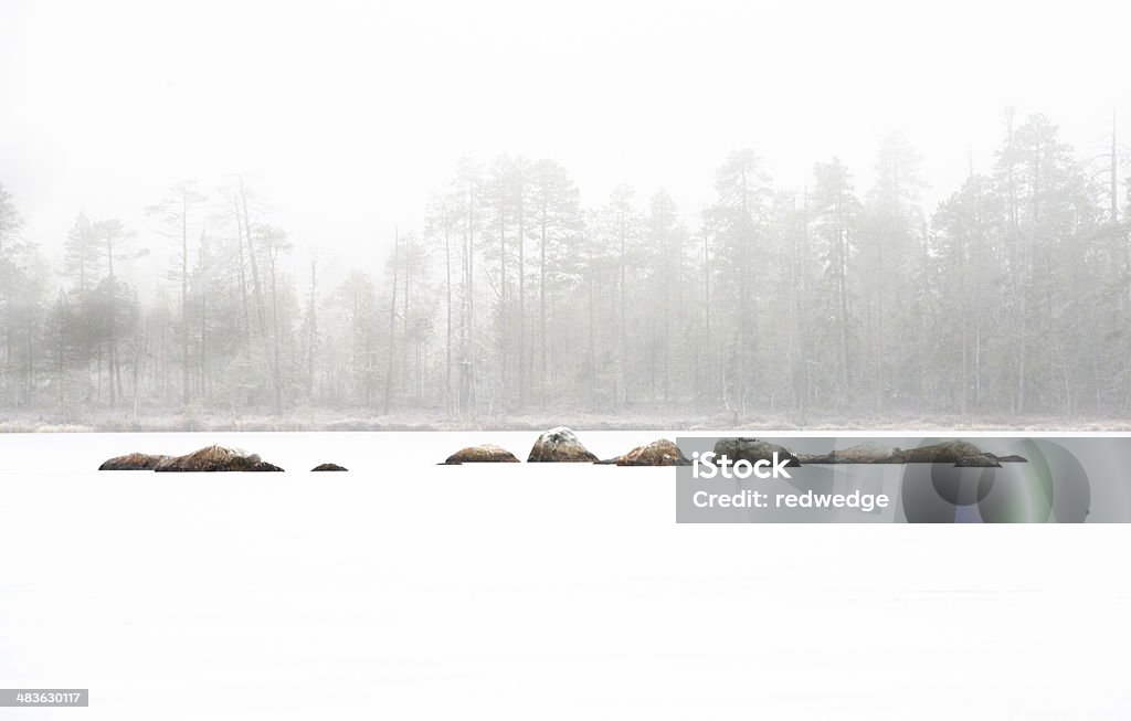 Rocks in frozen lake with trees Rock stand in a ice covered lake against a background of trees Cold Temperature Stock Photo
